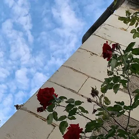 בית אירוח Villa Fontevraud
